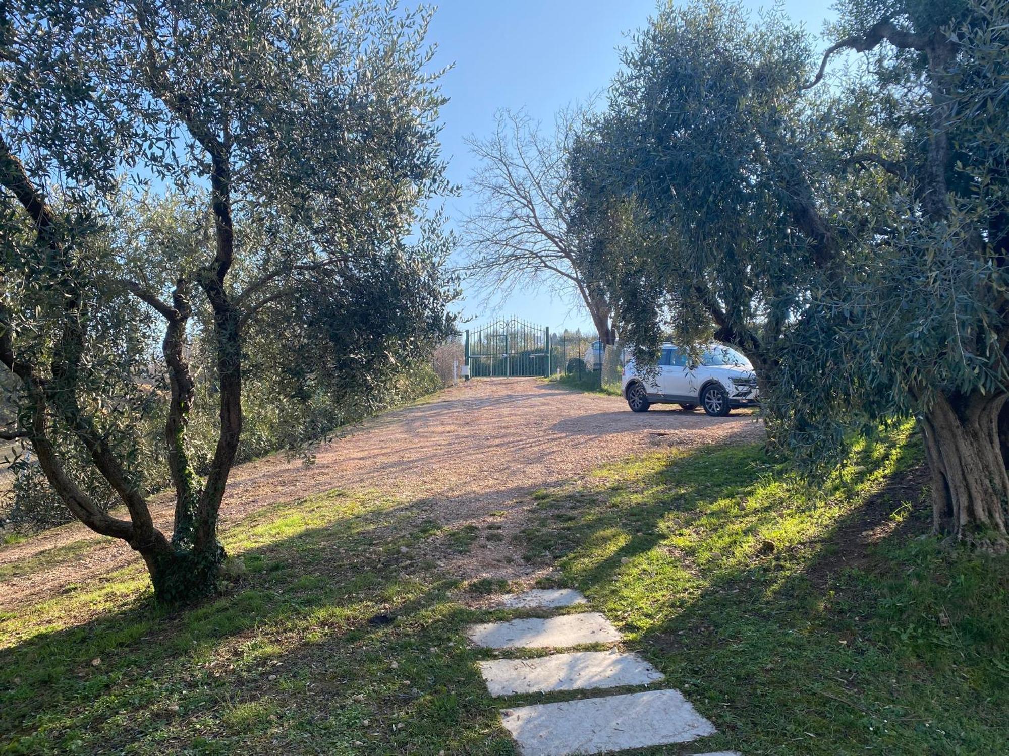 Residenza Cipressi E Olivi Apartment Verona Luaran gambar